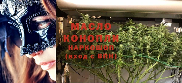 ECSTASY Бородино