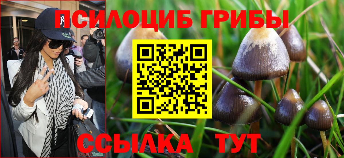 Буйнакск  Псилоцибиновые грибы Psilocybine cubensis  Галлюциногенные грибы прущие грибы  Вход с VPN 