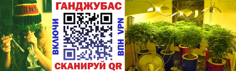 Каннабис семена  Буйнакск 